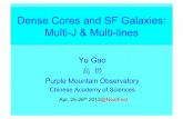 Dense Cores and SF Galaxies: Multi-J & Multi-lines · Baan, Henkel, Loenen + 2008 •Baan et al. (2008) •Kohno 2007, et al. (2003) •Imanishi (2006) •Aalto et al. 2007, 2002,