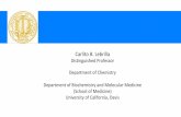 Carlito B. Lebrilla€¦ · Carlito B. Lebrilla. Distinguished Professor. Department of Chemistry. Department of Biochemistryand Molecular Medicine (School of Medicine) University