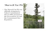 Marwell Tar Pit - Ta'an Kwach'an Counciltaan.ca/files/uploads/2016/11/Marwell-Tar-Pit-Presentation_Rick-Sea… · Marwell Tar Pit •The Marwell Tar Pit was officially designated