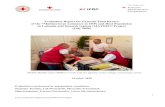 Evaluation Report for External Final Review of the ...adore.ifrc.org/Download.aspx?FileId=340203&.pdf · Final Evaluation Report of the MATIHP Project 7 Since October 2018, URCS continued