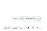 Airports Commission Senior Delivery Group Delivery Report #1publicapps.caa.co.uk/docs/33/SDG_Delivery_Report_1_July_2014.pdf · packages that form the initial scope of the SDG’s