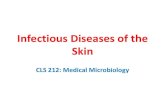 Infectious Diseases of the Skinfac.ksu.edu.sa/sites/default/files/skin_infection.pdf · Gas Gangrene Clostridium perfringens leprosy Mycobacterium leprae Scarlet Fever Streptococcuspyogenes