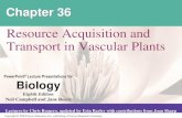 Resource Acquisition and Transport in Vascular Plants sap Mesophyll cells Stoma Water molecule Transpiration Atmosphere Adhesion by hydrogen bonding Cell wall Xylem cells Cohesion