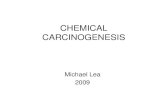 CHEMICAL CARCINOGENESISnjms.rutgers.edu/gsbs/olc/molonc/prot/2009/MolOncolCarcinogen2009.… · Factors that influence organ and species specific chemical carcinogenesis including