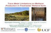 Trace Metal Limitations on Methane Production in ...epsc.wustl.edu/~catalano/epsc595/Catalano_Metals_Methane_Wetland… · Overall emission rate determined by complex array of biotic