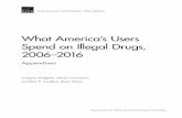 What America's Users Spend on Illegal Drugs, 2006-2016 ...€¦ · The program focuses on such topics as risk factors and prevention programs, social safety net programs and other