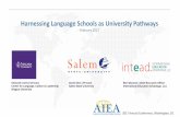Harnessing Language Schools as University Pathways · International Education Advantage, LLC Deborah Curtis | Director, Center for Language, Culture & Leadership Niagara University.