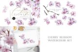 Cherry Blossom Watercolor SetThe+Complete+Guide... · Watercolor White Snowdrops Spring Flowers. Watercolor Yellow Tulips. Wild Flowers in Watercolor. CHERRY BLOSSOM 12 w s WATERCOLOR