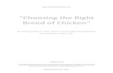 Choosing the Right Breed of Chicken - Chicken Coops Direct · One of the best points for home chicken owners is that the Barnevelder seems totally unphased by family pets, and are