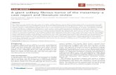 CASE REPORT Open Access A giant solitary fibrous tumor of ... · CASE REPORT Open Access A giant solitary fibrous tumor of the mesentery: a case report and literature review Kiyotaka