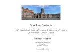 The Dublin Maternity Hospitals’ Reports Meeting 2002 · Shoulder Dystocia HSE, Multidisciplinary Obstetric Emergency Training Conference, Dublin Castle Michael Robson The National