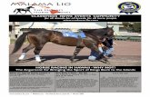 CLASSIFIEDS NEWS EVENTS COMMUNITY for all islands, for all ...malama-lio.com/PDFs/Winter Final 2012/Winter 2012.pdf · / Malama-Lio – The Hawaii Horse Journal / Winter 2012 CLASSIFIEDS