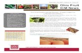 Ohio Fruit ICM News Issue 16 - Home | CFAES · Apple Maggot – 0 (same) San Jose Scale – 0 (same) Oriental Fruit Moth – 38 (up from 25.2) Dogwood Borer – 3 (down from 4.6)