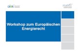 Workshop zum Europäischen Energierecht - White & Case€¦ · Europäisches Energierecht 21 Europäisches Beihilfenrecht Johannes Thielen Das EU-Beihilfenrecht hat das nationale