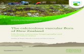 The calcicolous vascular ﬂora of New Zealand€¦ · Published by Creative Services Team, Department of Conservation, PO Box 10420, The Terrace, Wellington 6143, New Zealand. In