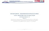 CN APDM SA GALAȚI - romanian-ports.ro CA sem II 2017.pdf · Capitol 5 Performante financiare/analiza realizarii principalilor indicatori economico-financiari la data de 31.12.2017