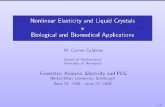 Nonlinear Elasticity and Liquid Crystals in Biological and ...chris/icms/GeomAnal/calderer.pdf · Elasticit,y di usion, transport, dissipation, surface phenomena 3/32. Figure: Tibia