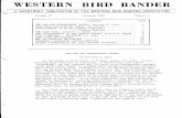 WESTERN 'B'IRD BANDER 1962.pdf · western 'b'ird bander,t~ a quarterly publication of the western bird, banding association the day the shearwatprs landed, dorothy b. hunt. head nets