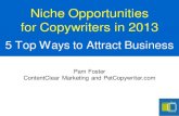 Niche Opportunities for Copywriters in 2013€¦ · copywriting specialist... • Stands apart with value • Aligns with clients as a true partner/colleague • Is found more often!