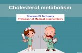 Cholesterol metabolism€¦ · • To describe classes and separation of lipoprotein. • To explain the metabolism of chylomicrons, VLDL, LDL and HDL. Structural component of all