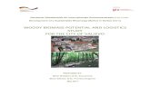 WOODY BIOMASS POTENTIAL AND LOGISTICS STUDY FOR THE …€¦ · GIZ DKTI Programme ‘Development of sustainable bioenergy market in Serbia’: Agro-biomass and wood biomass potential