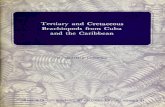 Tertiary and Cretaceous Brachiopods from Cuba and the ...redciencia.cu/geobiblio/paper/1979_Cooper_Tertiary and K Brachiopo… · Tertiary and Cretaceous Brachiopods from Cuba and