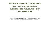 ECOLOGICAL STUDY OF INTERTIDAL MARINE ALGAE OF KONKAN€¦ · Dhargalkar V.K. et al. (2001) had carried comparative study on the distribution and abundance of marine macro algae along