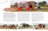 Pin interest - janaivelez.com€¦ · Pin interest Never thought of elephants feeling chilled! But during a particularly severe Indian winter, some of these gentle giants were suffering