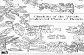 Checklist of the Woody Cultivated Plants of Floridaufdcimages.uflib.ufl.edu/UF/00/00/01/39/00001/Binder1.pdf · A. ka>t ••m&1l am"",n 01 li&nUJ io characte. ia