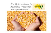 The$Maize$Industry$in$ Australia,$Producon$ and$Opportuni7es - Mann The maize... · • Formed!aer!the!inaugural!Maize!Conference!in! Echucain!! • Only!organisaon!represen:ng!the!Maize!