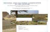 NATURAL AND CULTURAL LANDSCAPES IN THE FAYOUM discoveries at... · The Fayoum is regarded as one of the most important Egyptian Governorates for its long tradition of both natural