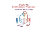 Chapter 12: Cardiovascular Physiology Vascular Physiology€¦ · Cardiovascular Physiology Vascular Physiology. Lecture Outline • Functional parts of blood vessels • Hemodynamics