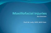 An Overview Prof. M. Lotfy, SOD, MOI Univ.123userdocs.s3-website-eu-west-1.amazonaws.com/d/a7/f2... · Facial Injuries •Facial injuries impact both function and esthetics. •There