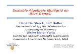 Scalable Algebraic Multigrid on Blue Gene/Lhdesterc/websiteW/Data/presentations/pre… · 5. scaling results on Blue Gene/L. CAIMS 2006 3 (1) introduction: algebraic multigrid (AMG)