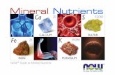 NOW Guide to Mineral Nutrients - WordPress.com€¦ · Citrate is a mineral bonded to citric acid. Citrates are often combined with other mineral nutrients, such as calcium from calcium