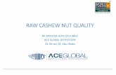 Raw cashew nut quality Coulibaly€¦ · C-Procedure, equipment used, needs for improvements Procedure India has more than 80 years of experience in processing cashew nuts; indeed
