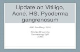 Update on Vitiligo, Acne, HS, Pyoderma gangrenosum · • 5 patients achieved some re-pigmentation • Sunlight exposure • Low-dose NBUVB photherapy • 5 patients who did not experience