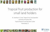Tropical fruit production for small land holders€¦ · • Topography – elevation, direction . Within farm site selection for fruit trees ... Within farm site selection for fruit