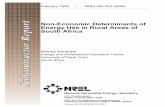 Non-Economic Determinants of Energy Use in Rural South Africa · Theo Kheswa (KFC) Bheka Gwala Dorcas Gwala Stella Gwala Fisani Dlamuka Cekeza’s Women’s Group Angeline Dlamini