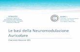 Le basi della Neuromodulazione Auricolare · ABVN Auricle Branch of the Vagus GAN Great Auricular Nerve (C2-C3) ATN Auriculotemporal Nerve - Trigeminus ABVN GAN ATN Crus of helix