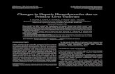 Changes in HepaticHemodynamics due to Primary Liver Tumoursdownloads.hindawi.com/archive/1996/062057.pdf · saidthatpartial liver resectionproduceslittle change intotalliverbloodflow15’16’17.