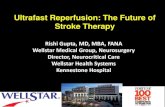 Ultrafast Reperfusion: The Future of Stroke Therapy · Arrival to ICU/Neuro Unit 14:24 244 202 197 181 176 166 181 144 164 164 154 154 142 139 104 Global Aphasia, Mild senory deficit,