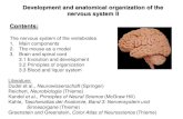 Development and anatomical organization of the nervous ... · Greenstein and Greenstein, Color Atlas of Neuroscience (Thieme) Development and anatomical organization of the nervous