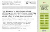 The influence of leaf photosynthetic efficiency and ... · Photosynthesis is the dominant process determining carbon dioxide (CO2) and water vapor (H2O) ﬂuxes between the terrestrial