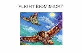 FLIGHT BIOMIMICRY · FLIGHT BIOMIMICRY Otto Lilienthal – late 19th century – Experimented extensively with man-carrying gliders – which he flew himself – Died in a crash of