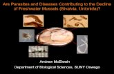 Are Parasites and Diseases Contributing to the Decline of ......Phylum Ciliophora (“Ciliates”) • Conchophthirius or Conchophthirus spp. most frequently reported • Reported