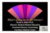 What’s going on in the Uterus?37 yo G3P3 s/p C/S X 3, bleeding Bicornuate uterus Fibroids - Leiomyomata Uteri Most common uterine neoplasm Clinically seen in 20-30% of women over