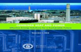 COMBINED HEAT AND POWER · ORNL/TM-2008/224 Energy Efficiency and Renewable Energy COMBINED HEAT AND POWER Effective Energy Solutions for a Sustainable Future Anna Shipley‡, Anne