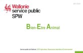 Bien-Etre Animal...police si convention entre les communes concernées. Ratione materiae – Code Wallon du Bien-Être Animal (CBEA) – Arrêtés d’exécutions – Réglements européens