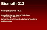 George Sgouros, Ph.D. · George Sgouros, Ph.D. Russell H. Morgan Dept of Radiology & Radiological Science. Johns Hopkins University, School of Medicine. Baltimore MD. Bismuth-213